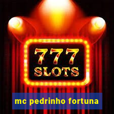 mc pedrinho fortuna